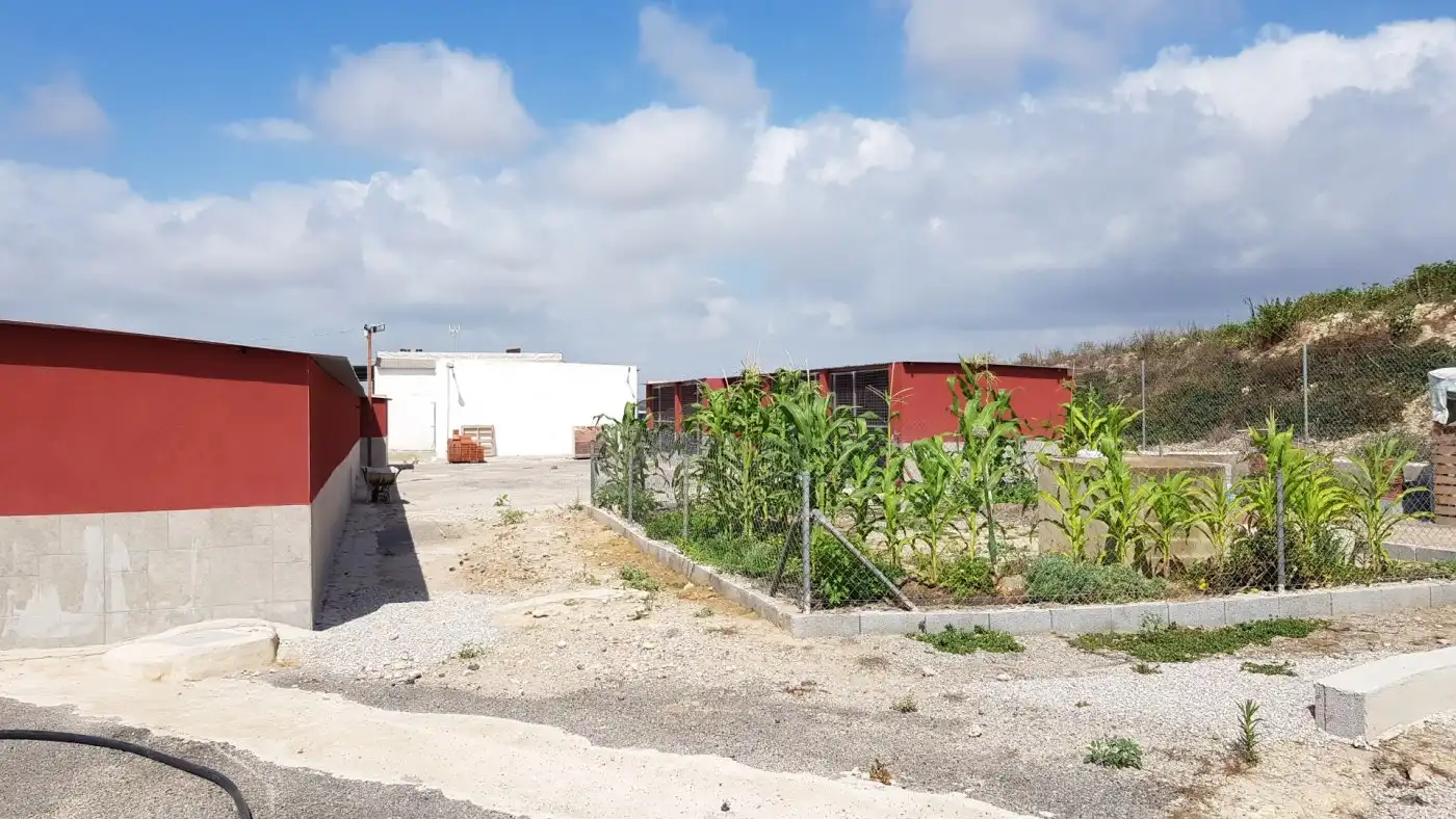 Country house for sale in Los Montesinos, imagen 17