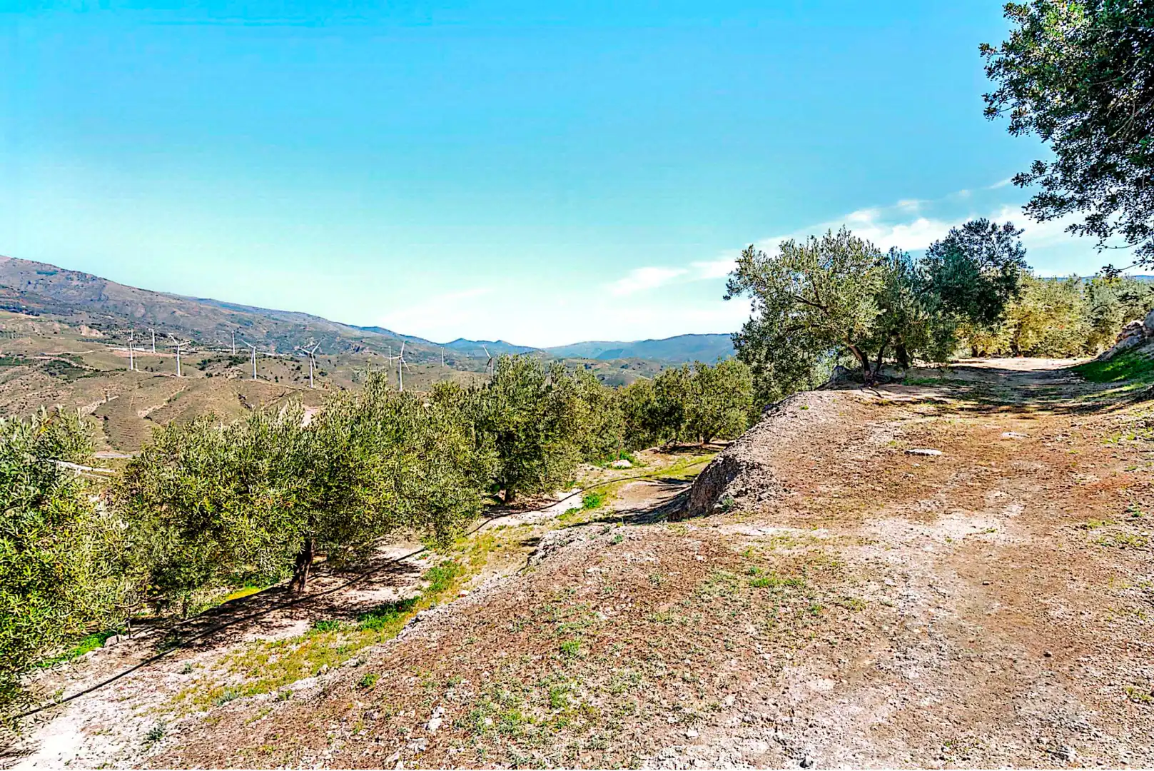 Terrain rustique à vendre à El Pinar, imagen 10