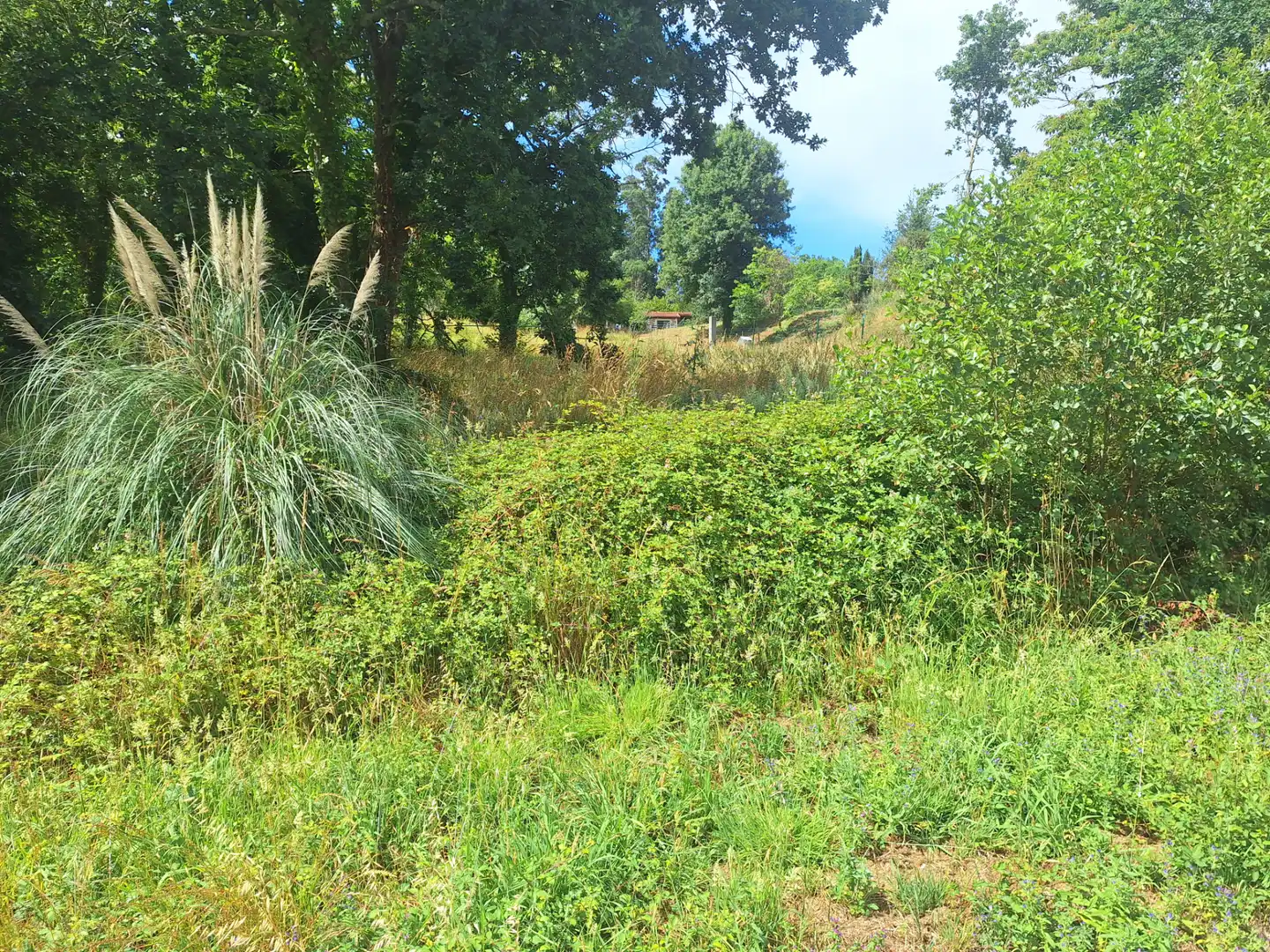 Grundstücke zur Miete in Culleredo