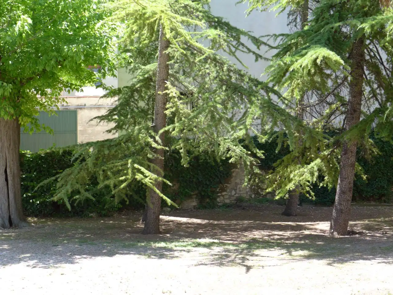 Haus mit Garten zum Verkauf in PASSEIG DEL COMTAT 21, imagen 34
