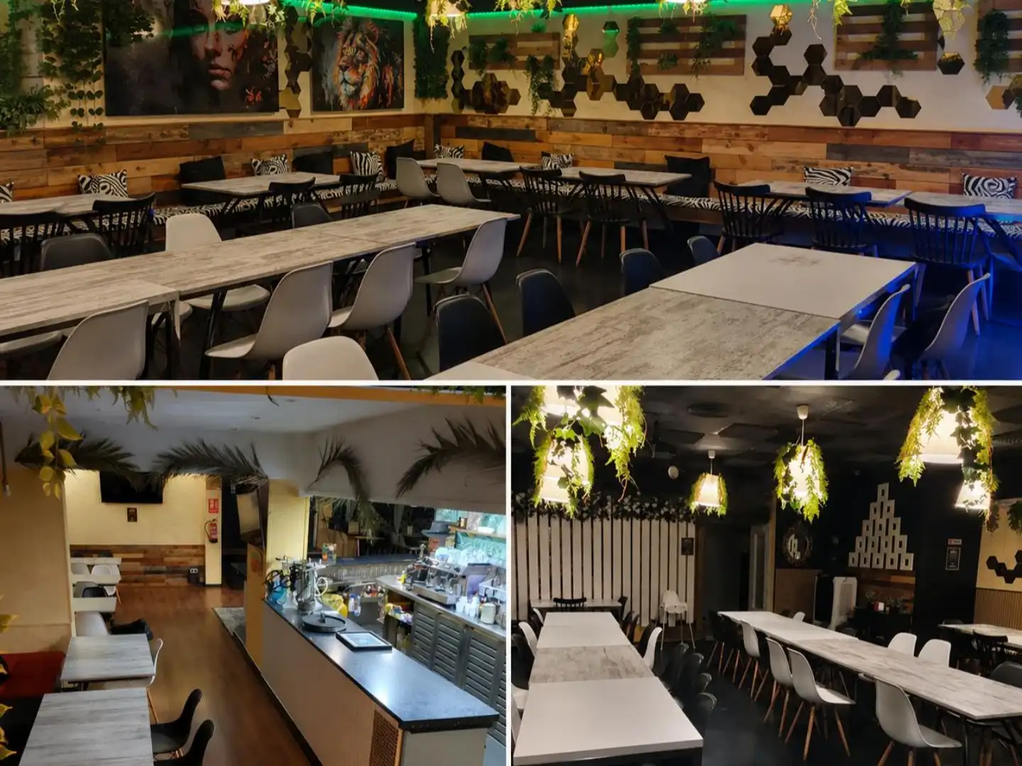 Local comercial en traspaso en Rocafort 121, imagen 5