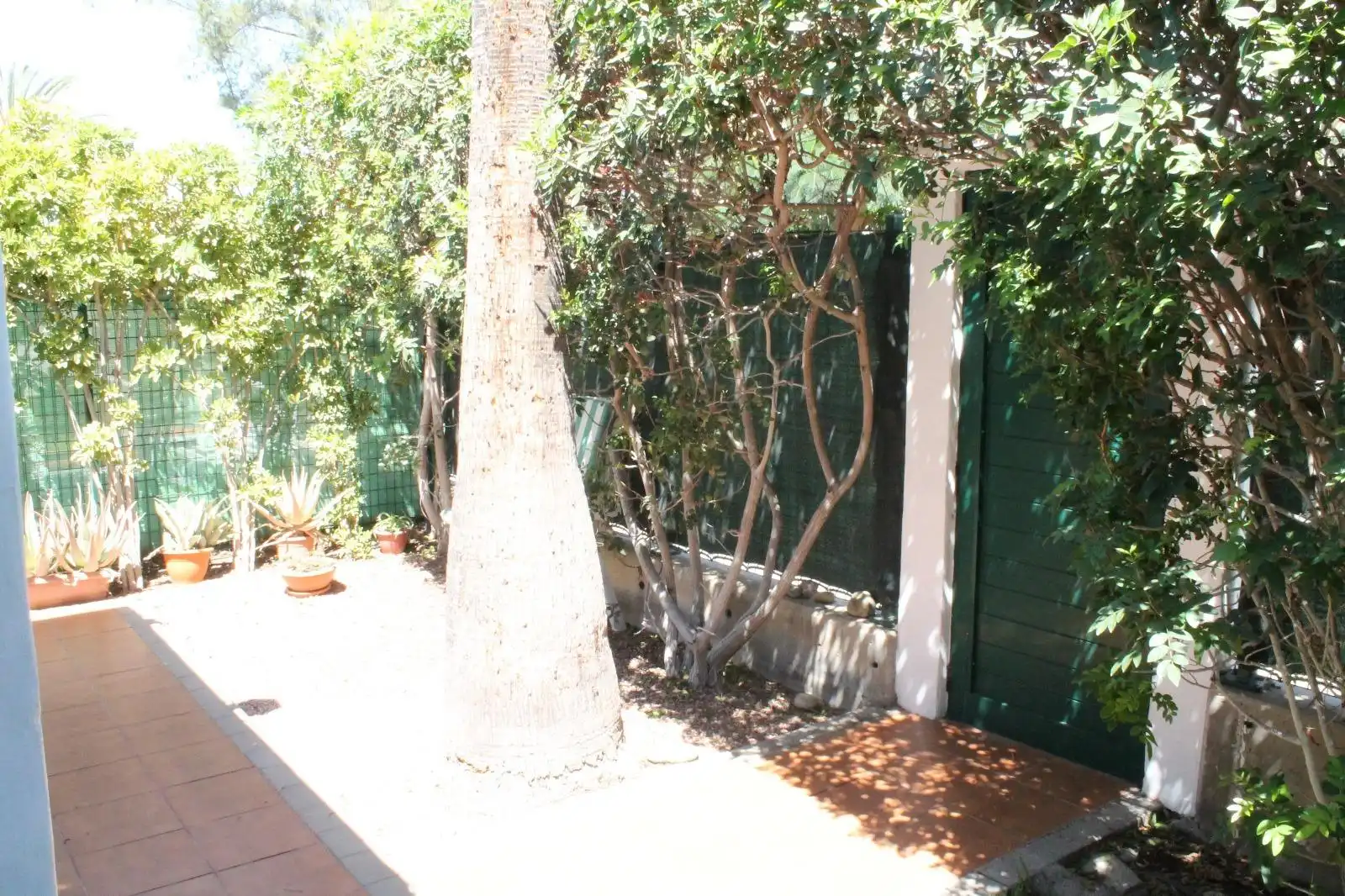 Bungalow avec piscine à louer à Avenida TOUROPERADOR TUI, imagen 14