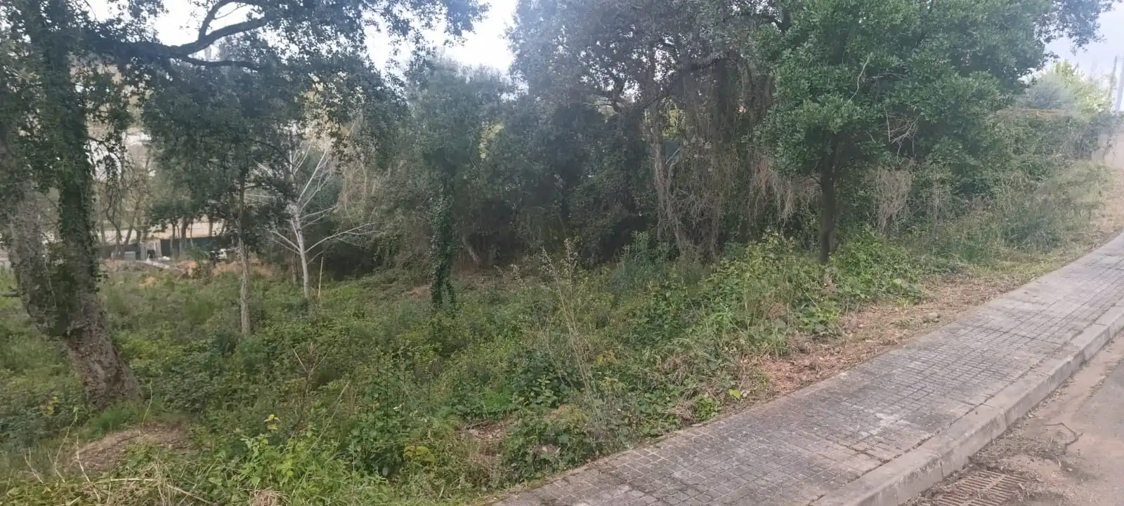 Terreno residencial en venta en Riudarenes