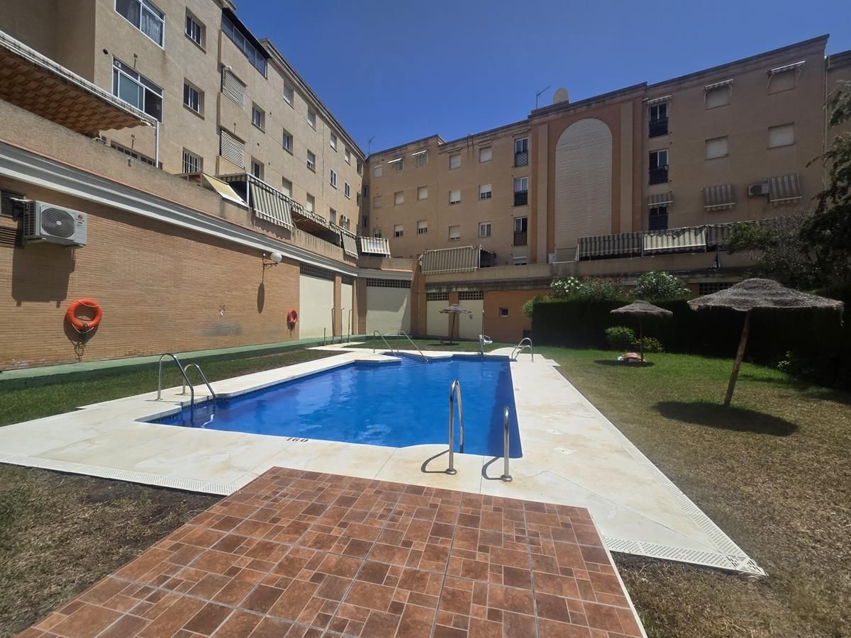 Swimming pool of Attic to rent in Málaga Capital  with Air Conditioner, Heating and Private garden