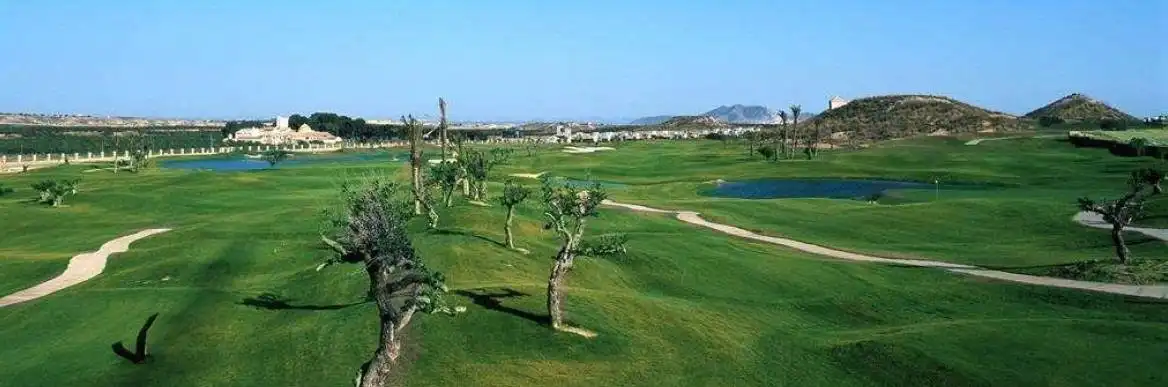 House with pool for sale in Campo de Murcia, imagen 7