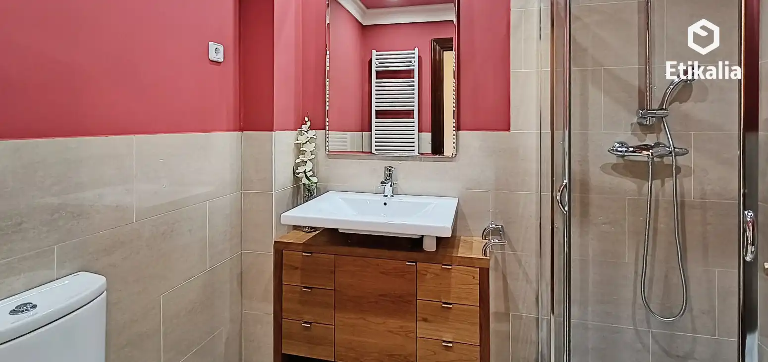 Baño de Piso de alquiler en Areatza con Calefacción y Terraza