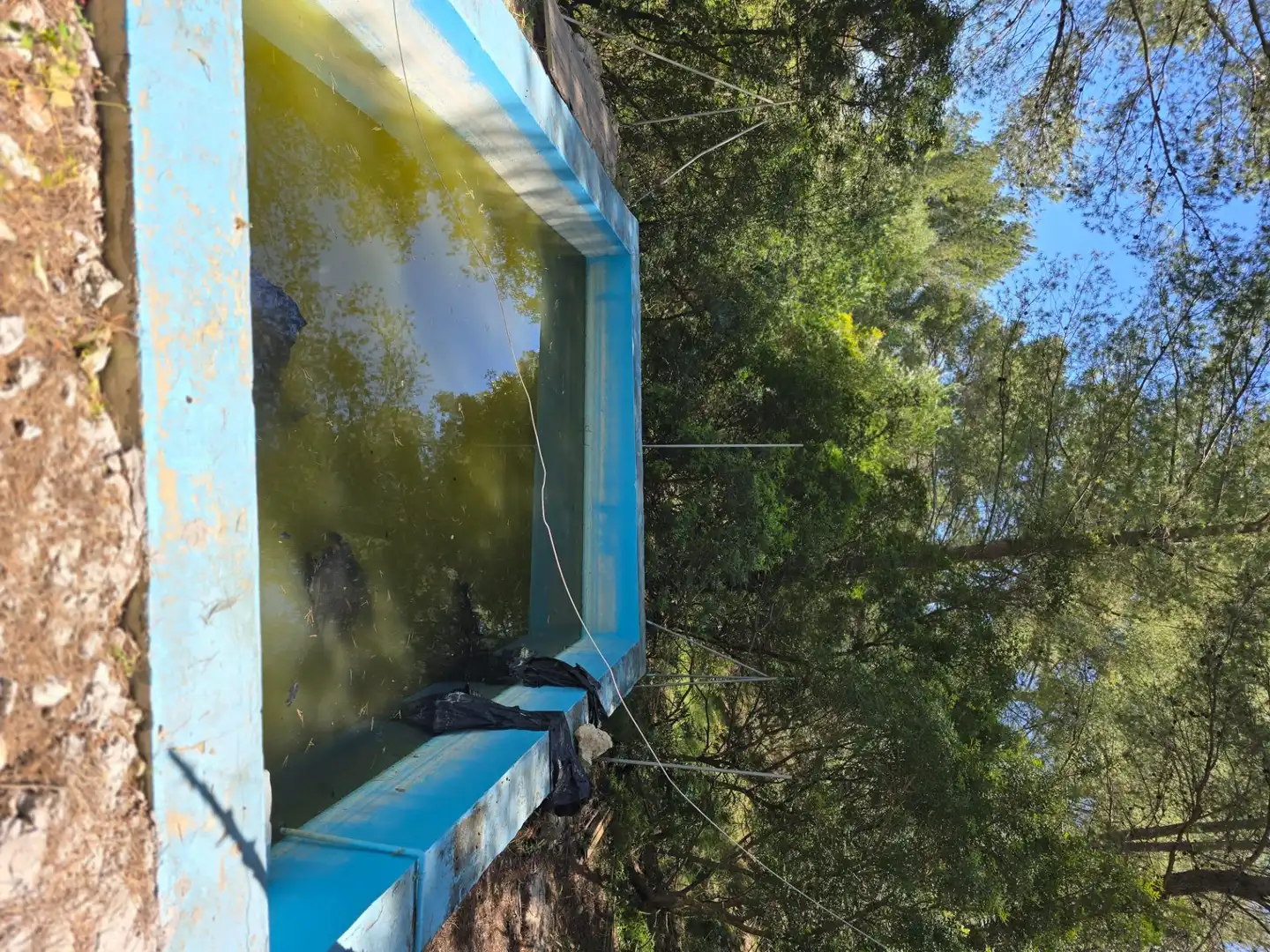 Piscina de Casa o xalet en venda en Mancor de la Vall amb Terrassa, Traster i Piscina