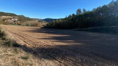 Foto 5 de Finca rústica en venta en Pontils, Tarragona