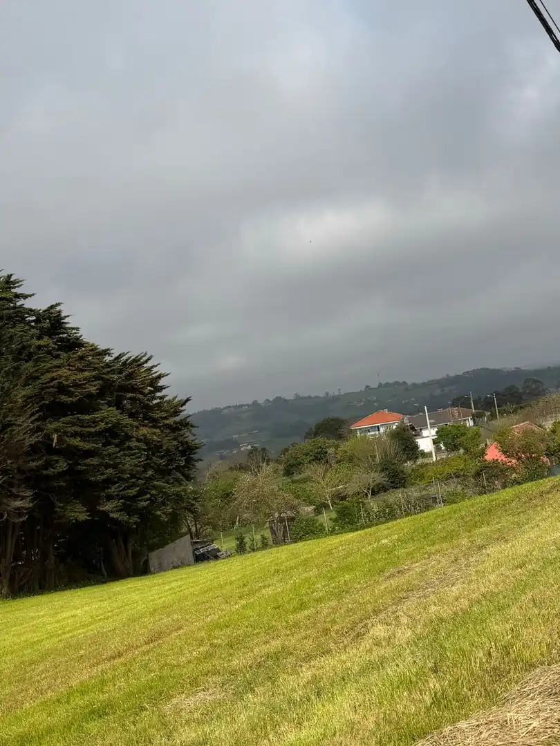 Vista exterior de Terreno en venta en Carreño