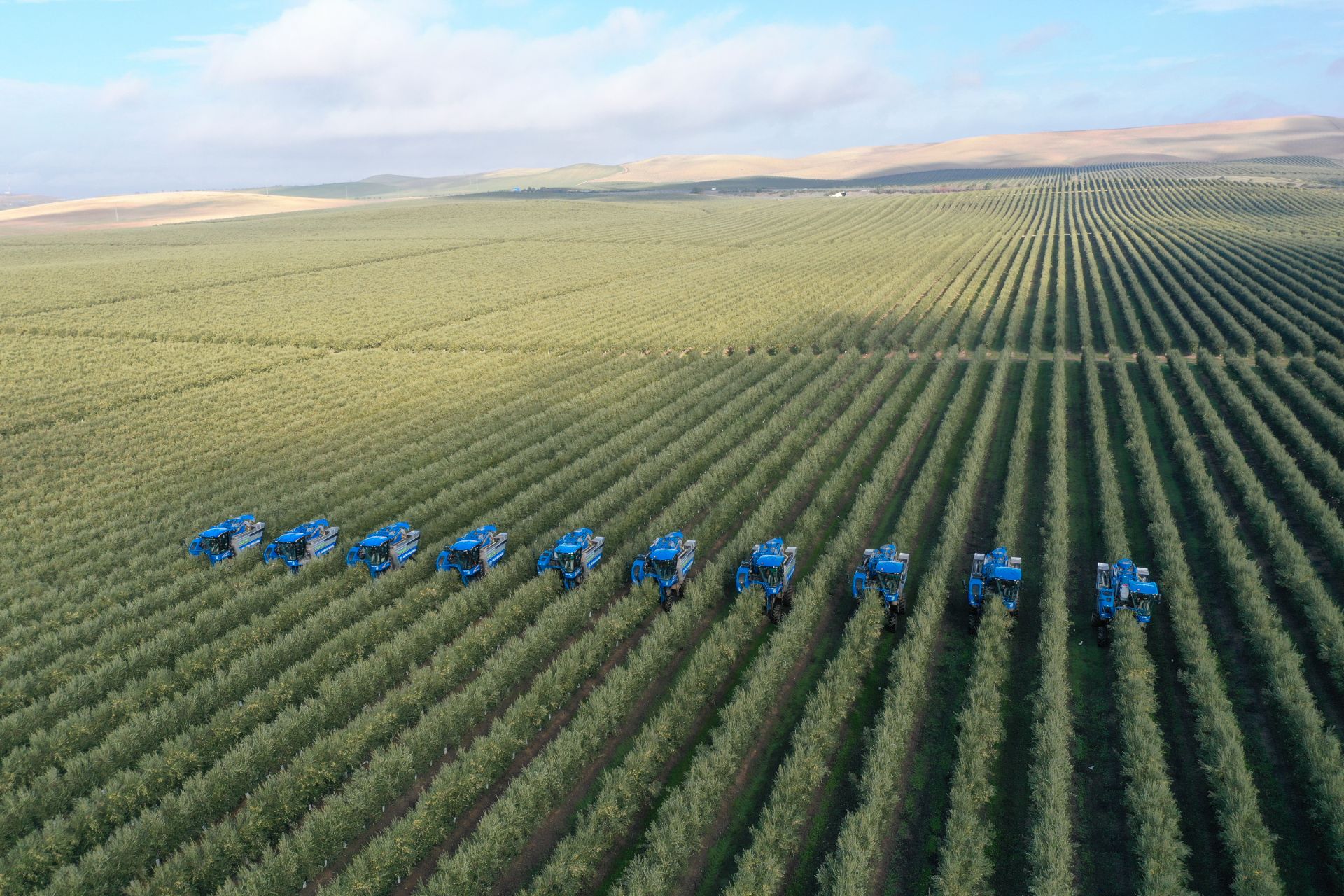 Terreno de alquiler en Carretera Jerez -Guadalcacín, Caballero Bonald - San José Obrero - Guadalcacín