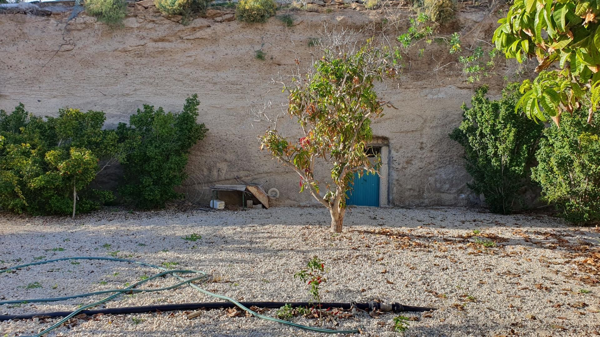 Exterior view of Country house for sale in Arico  with Storage room