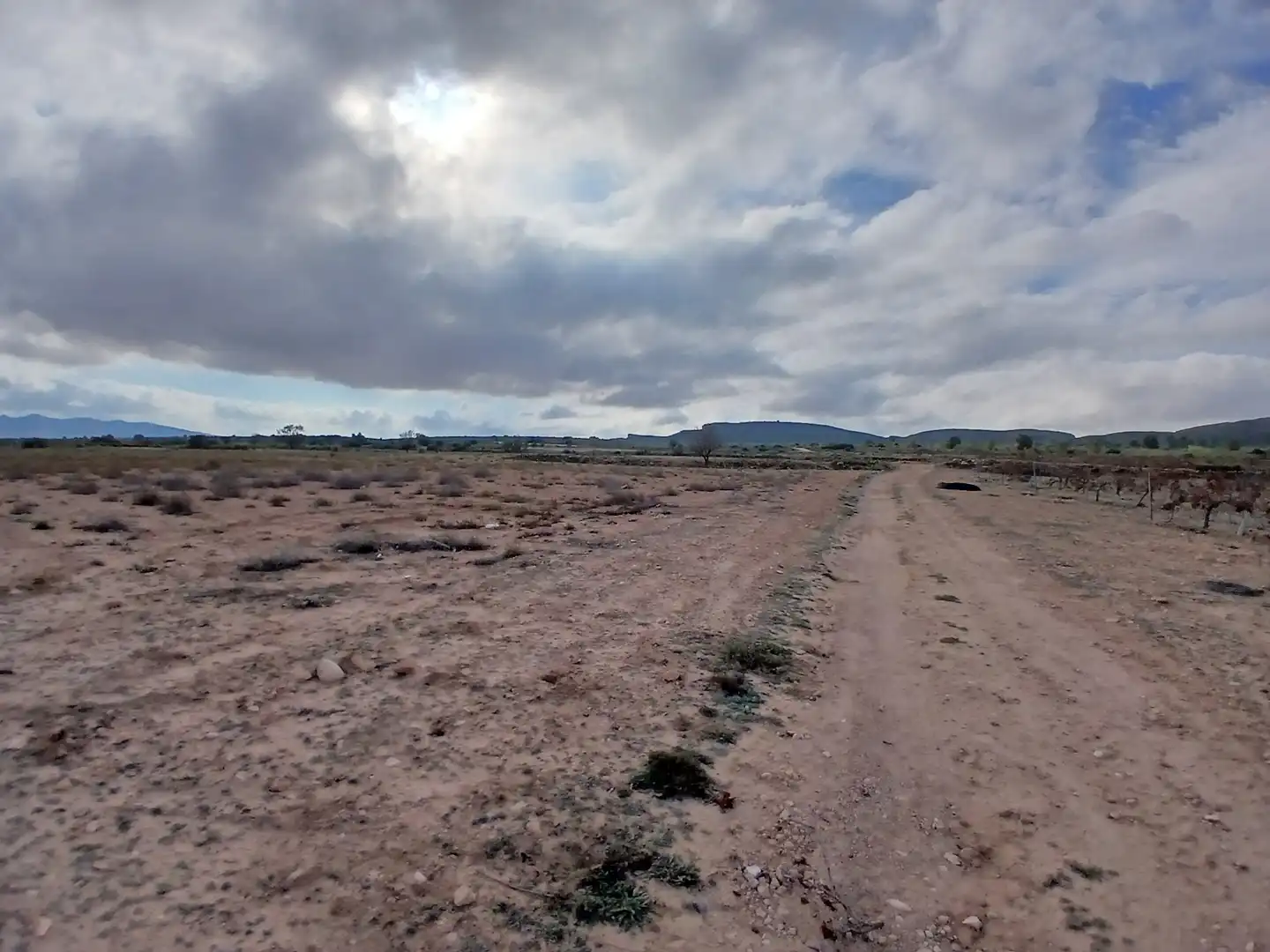 Residential land for sale in Yecla, imagen 18