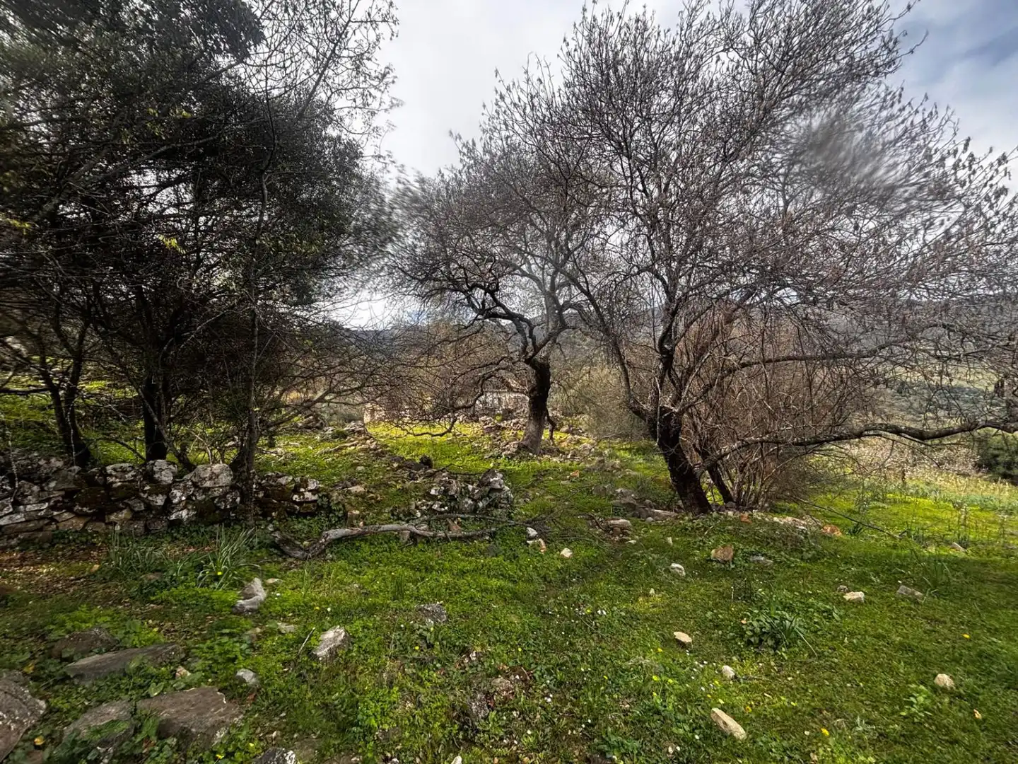 Terrenys i solars en venda a Grazalema, imagen 3