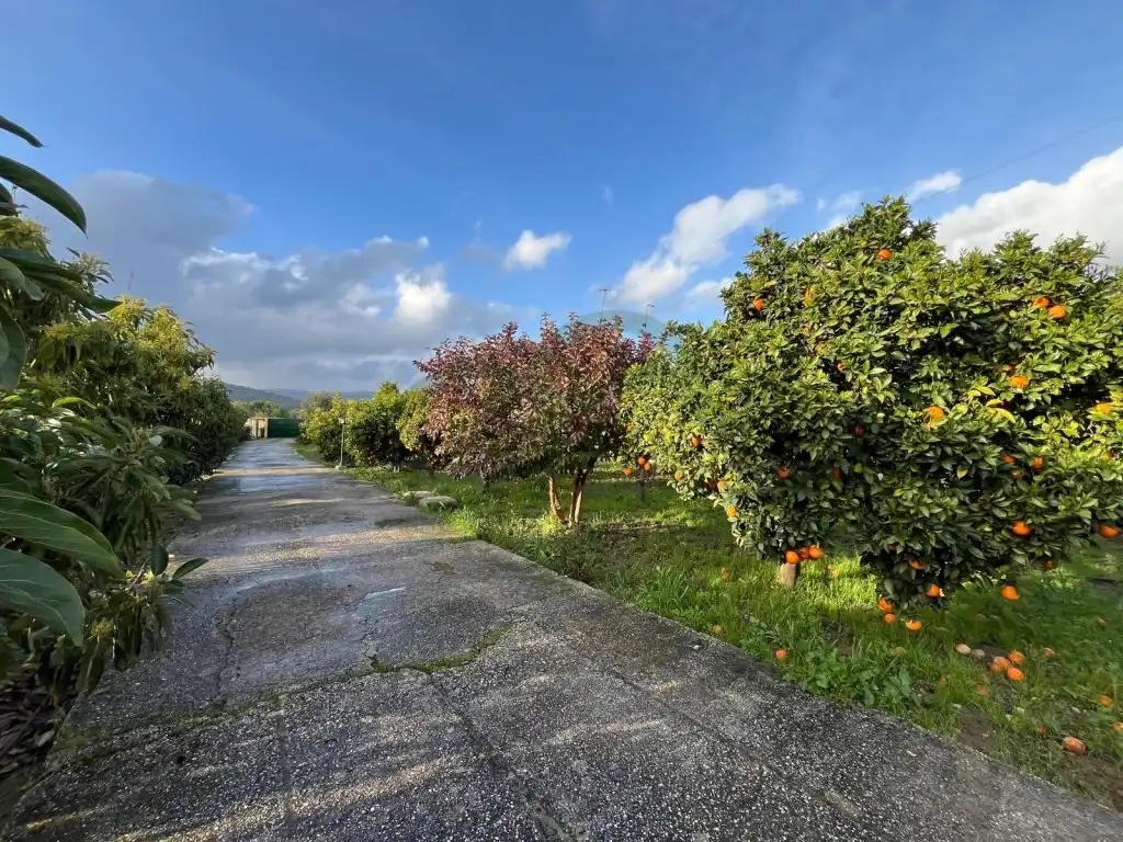 Country house for sale in Jimena de la Frontera, imagen 2