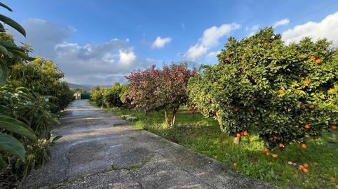 Foto 2 de Finca rústica en venda a N/a, Jimena de la Frontera, Cádiz