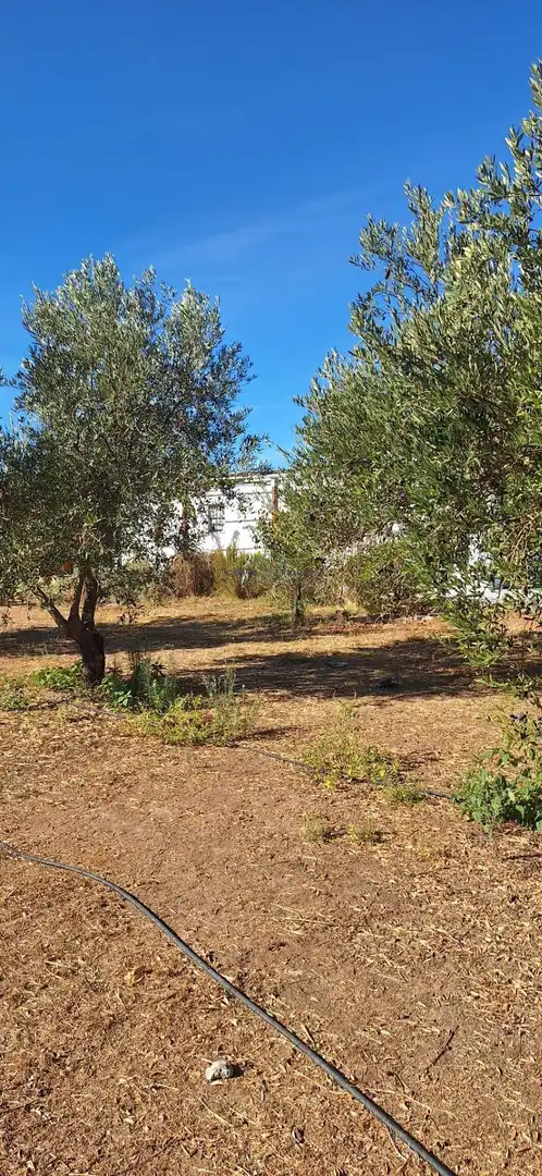 Country homes for sale in Gibraleón  with Storage room and Community pool