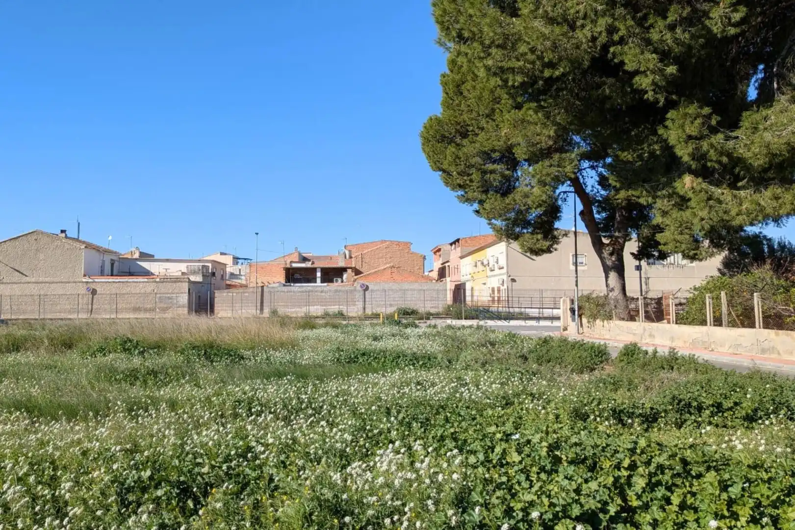 Terreni e lotti in vendita a Calle del Olivo, imagen 8