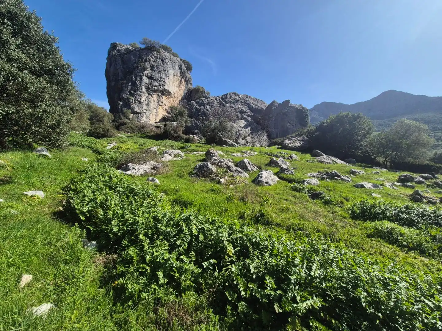 Außenansicht von Grundstücke zum Verkauf in Benaocaz