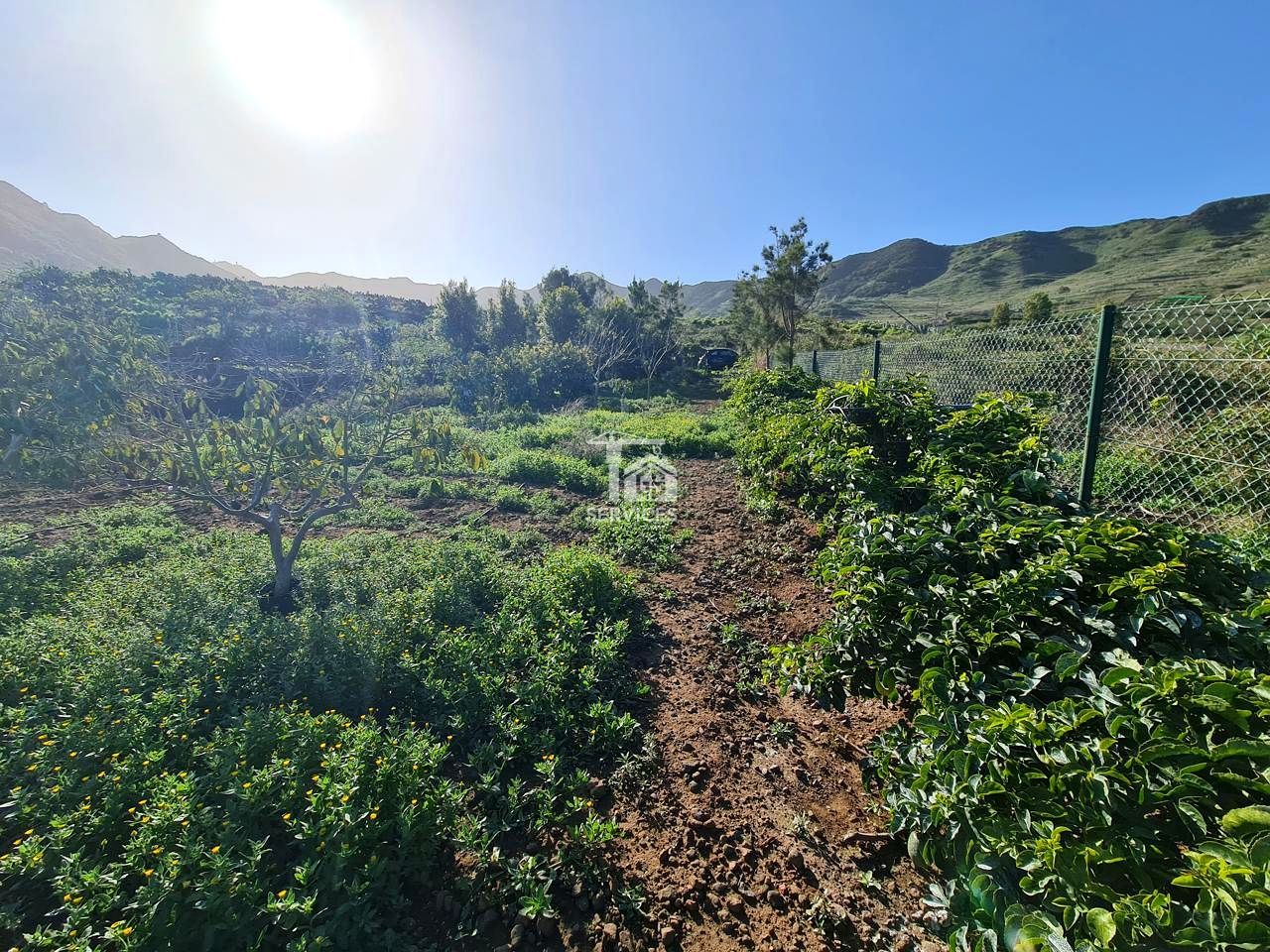 Residential for sale in Buenavista, 48, Buenavista del Norte