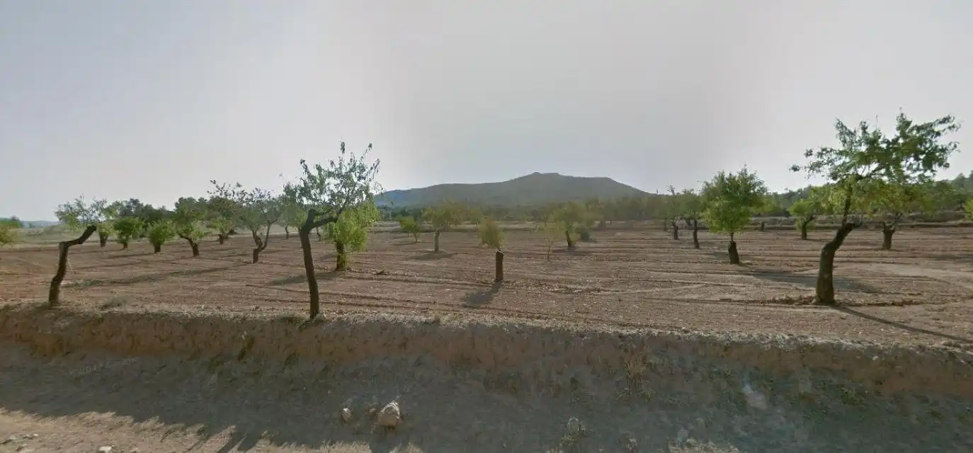 Terreno en venta en Alcorisa