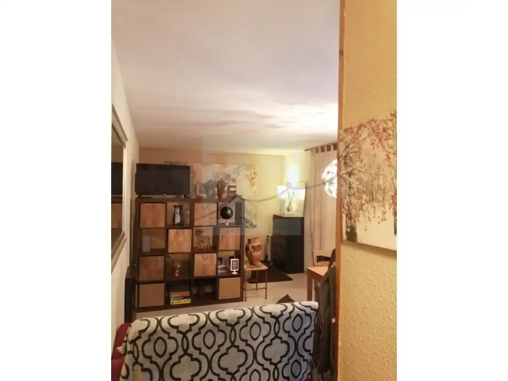 1-bedroom flat seasonal rent in Encamp · 13 of 13