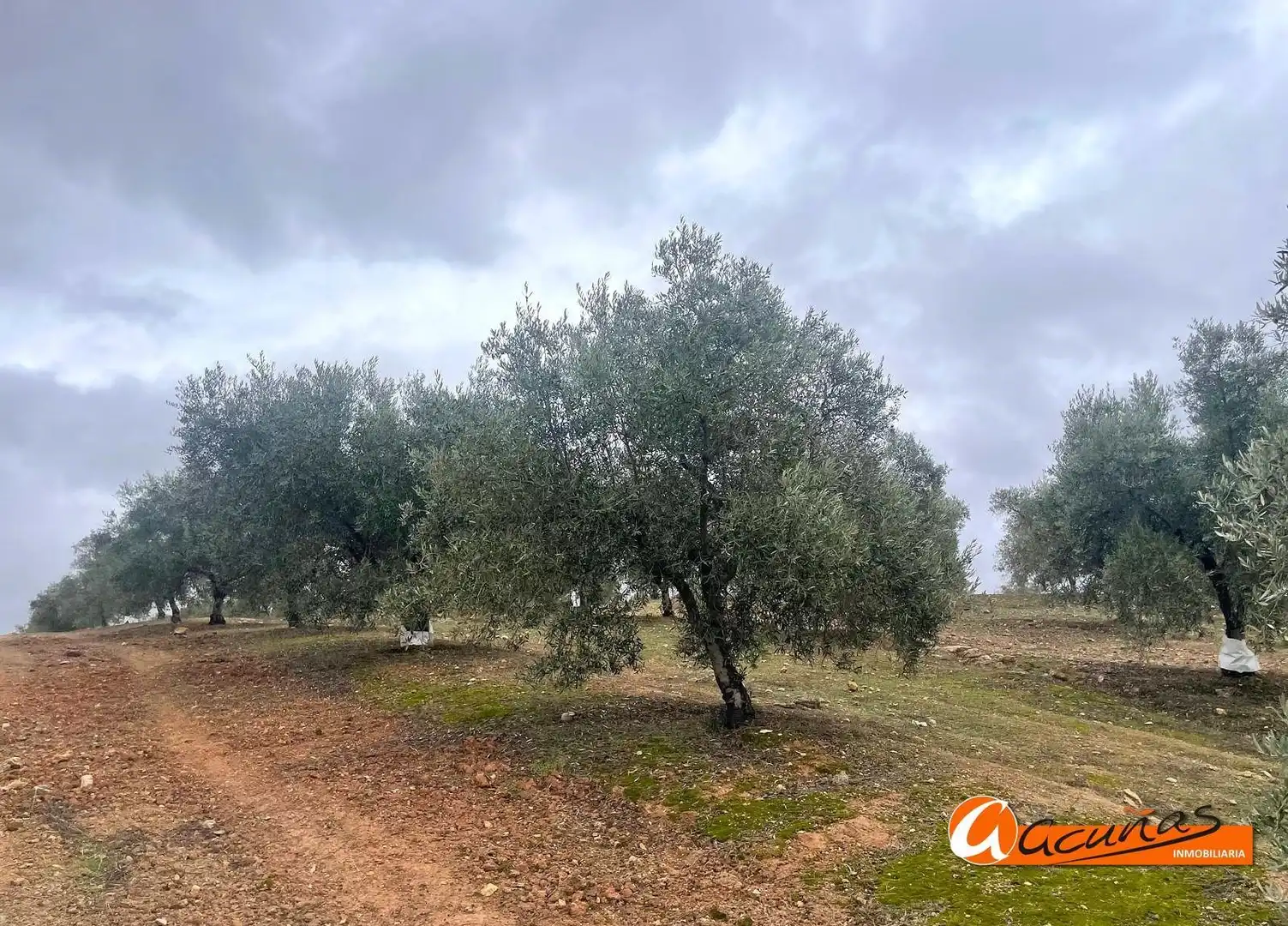 Terrenos y solares en venta en Alameda, imagen 44