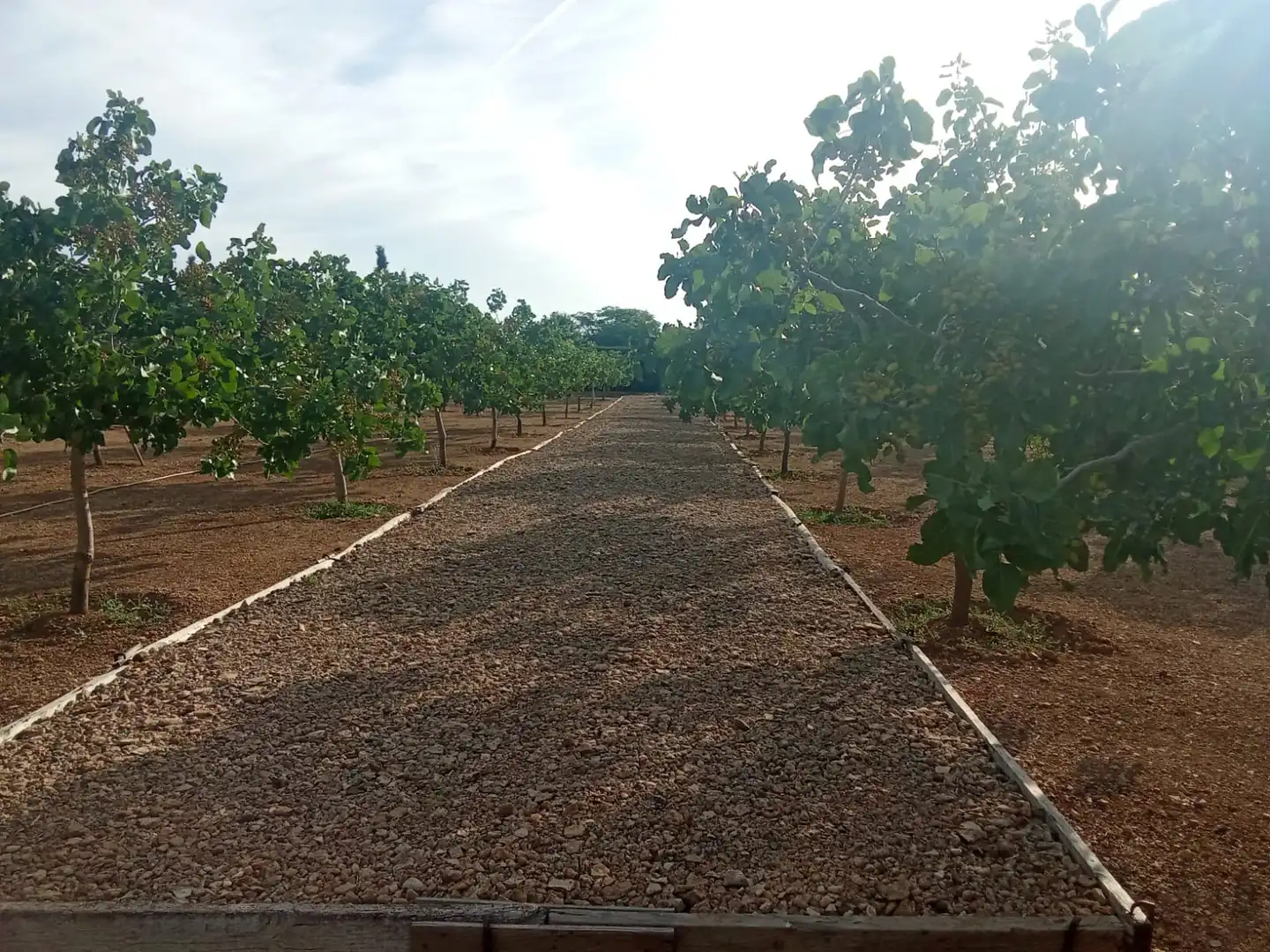 Terreno en venta en Ciudad Real