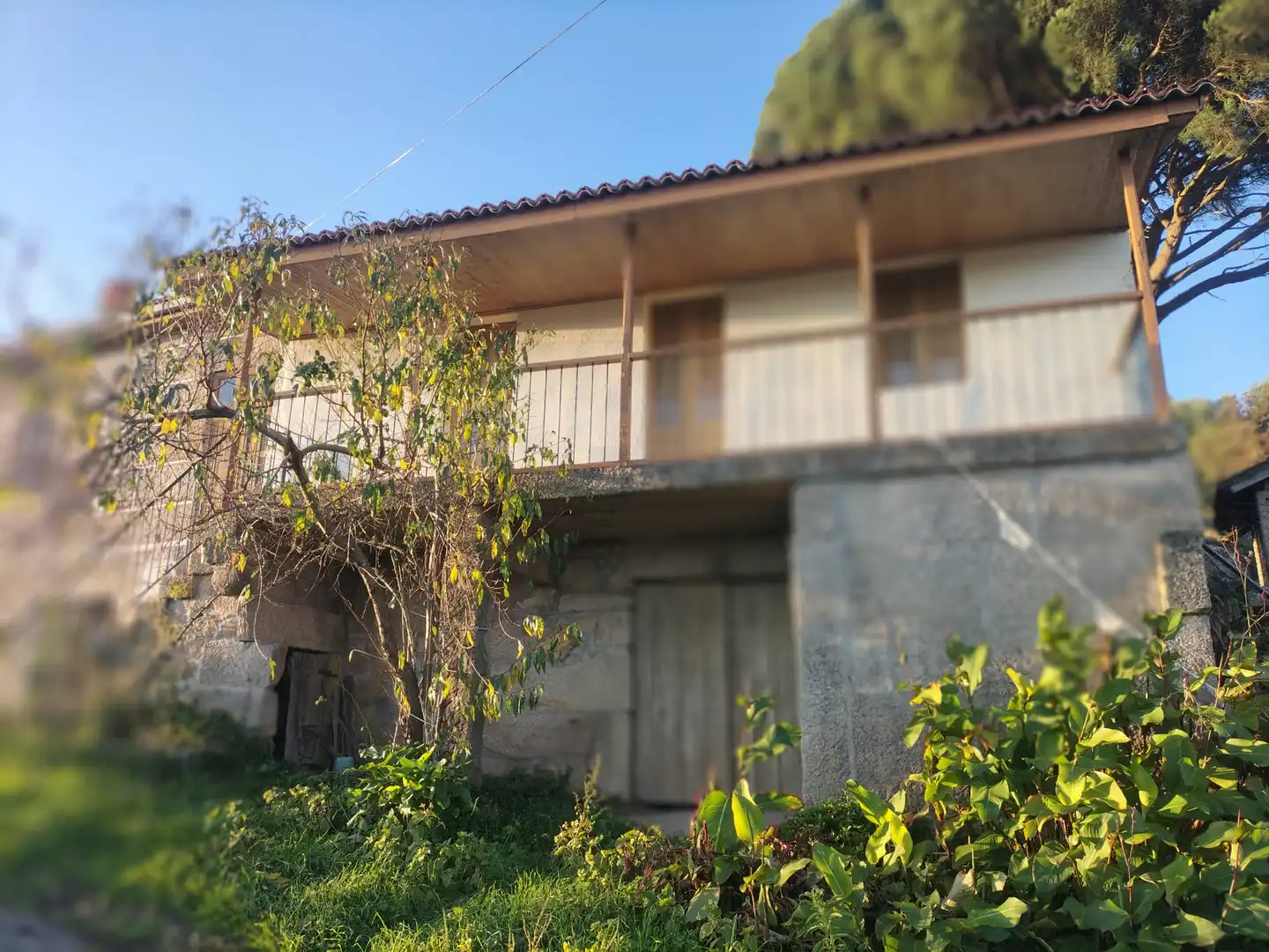 Vista exterior de Finca rústica en venta en Ourense Capital  con Jardín privado, Terraza y Balcón