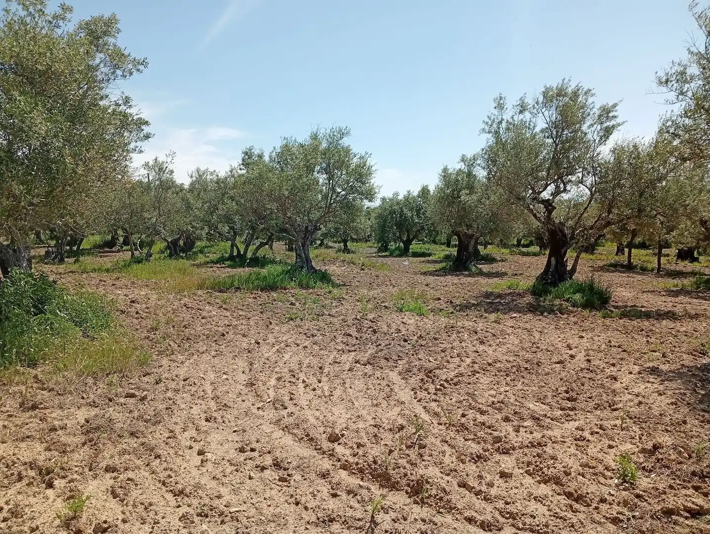 Terreni e lotti in vendita a Villanueva de la Vera, imagen 27