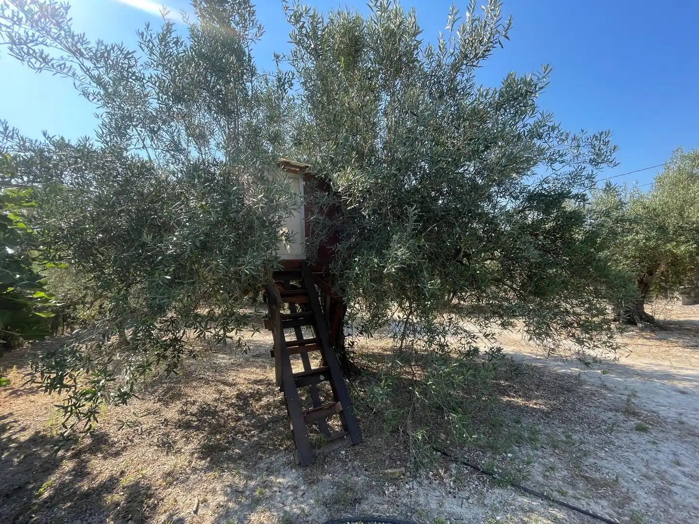 Houses for sale in Xàtiva  with Private garden, Terrace and Storage room