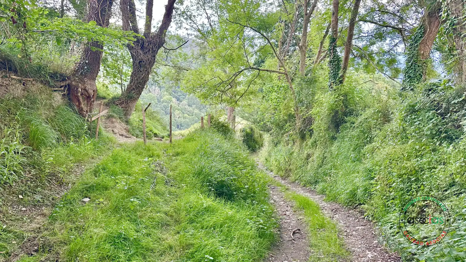 Terreno rustico in vendita a Cabranes - TORAZO, imagen 18