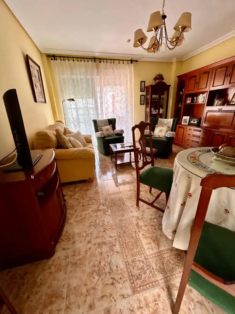 Living room of Flat for sale in Aldea del Cano  with Heating, Terrace and Furnished