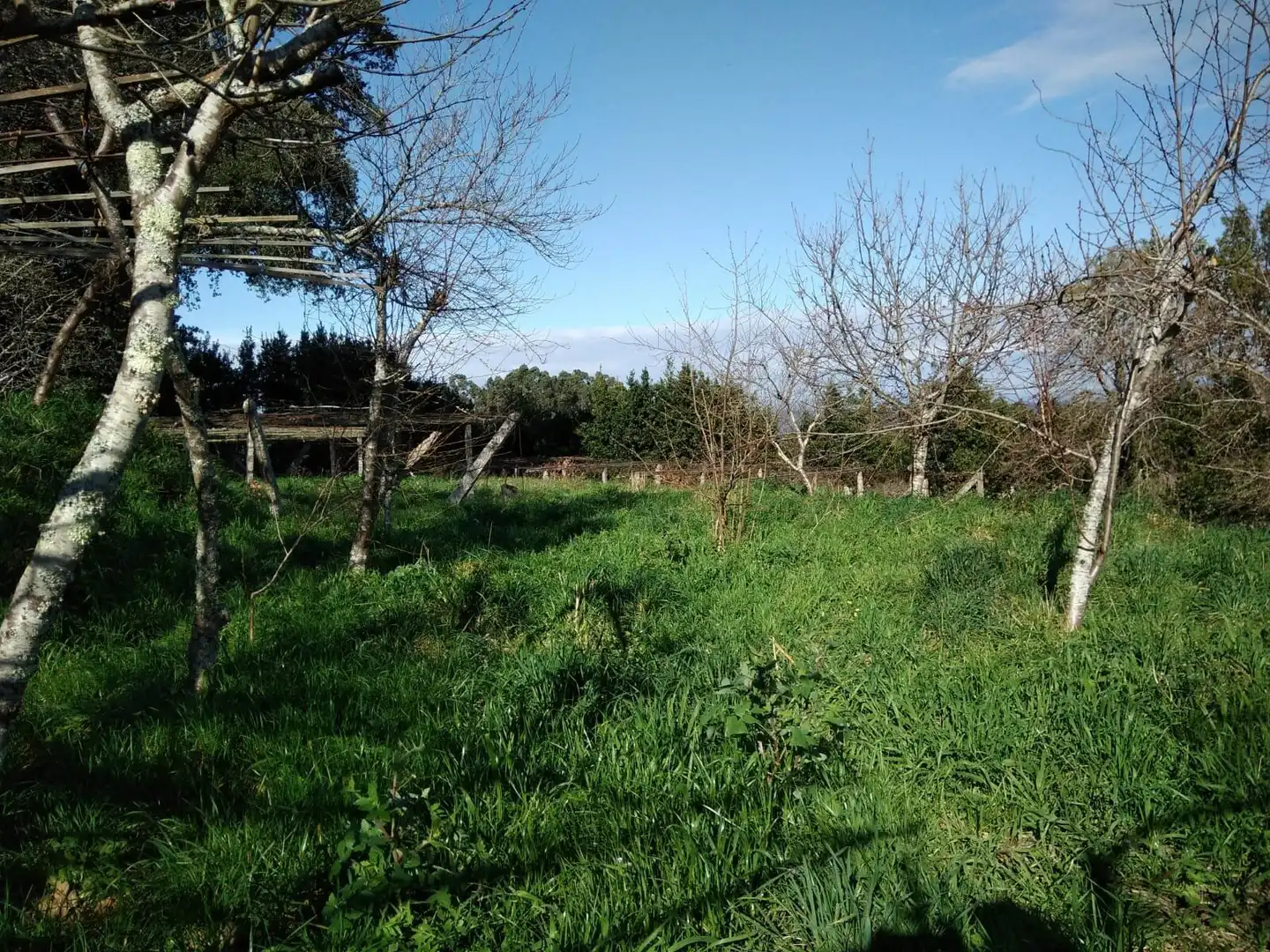 Finca rústica en venta en Barro con Jardín privado