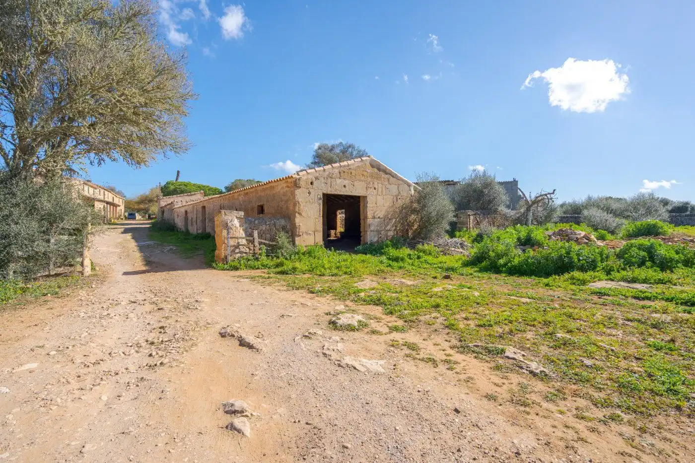 Country house with garden for sale in Llucmajor pueblo, imagen 11