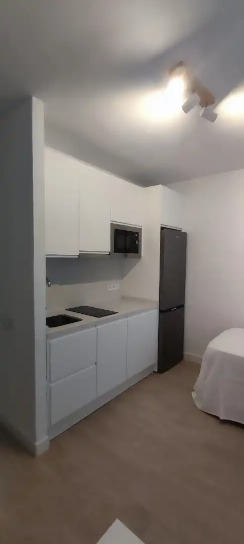 Estudio de alquiler en Sevilla, Sevilla