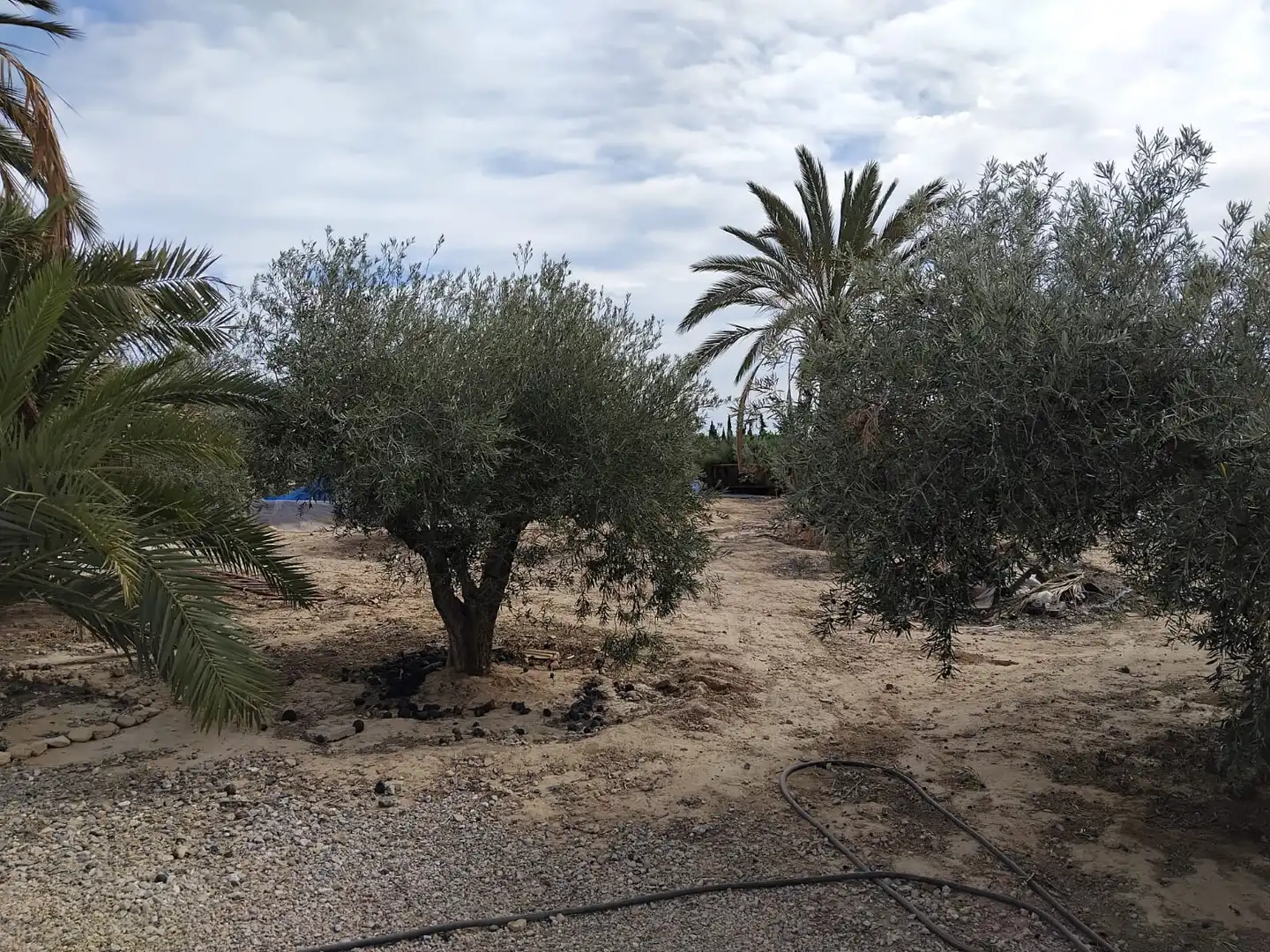 Casa con jardín en venta en Camí del Cementeri 2003A, imagen 33