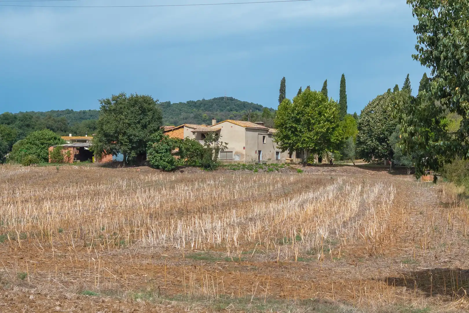 Chalet con jardín en venta en S/N MAS MITJÀ, imagen 3