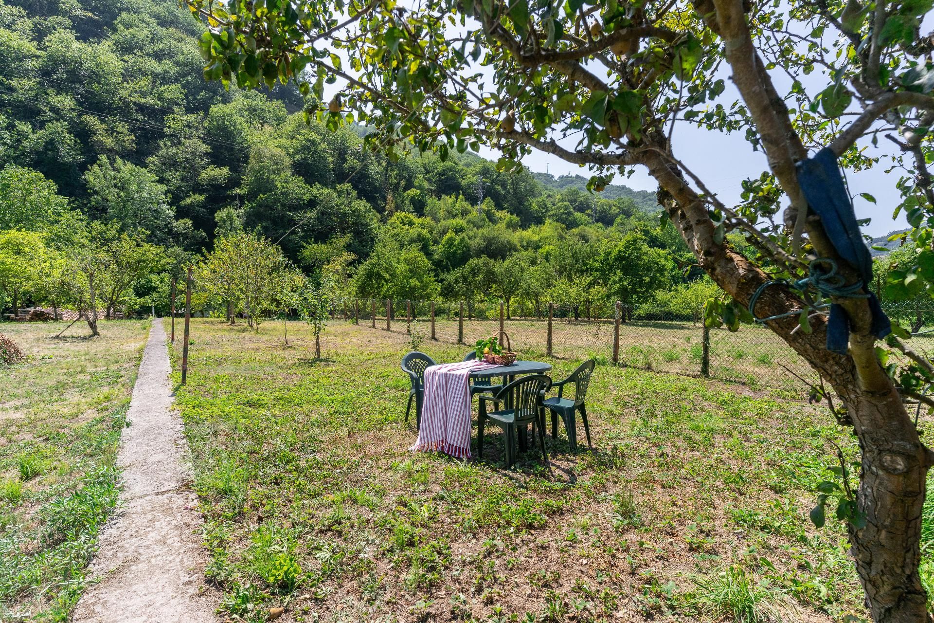 Jardín de Casa o chalet en venta en Mieres (Asturias) con Jardín privado, Terraza y Trastero