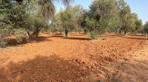 Photo 2 of Residential for sale in La Motilla - Fuente del Rey, Dos Hermanas