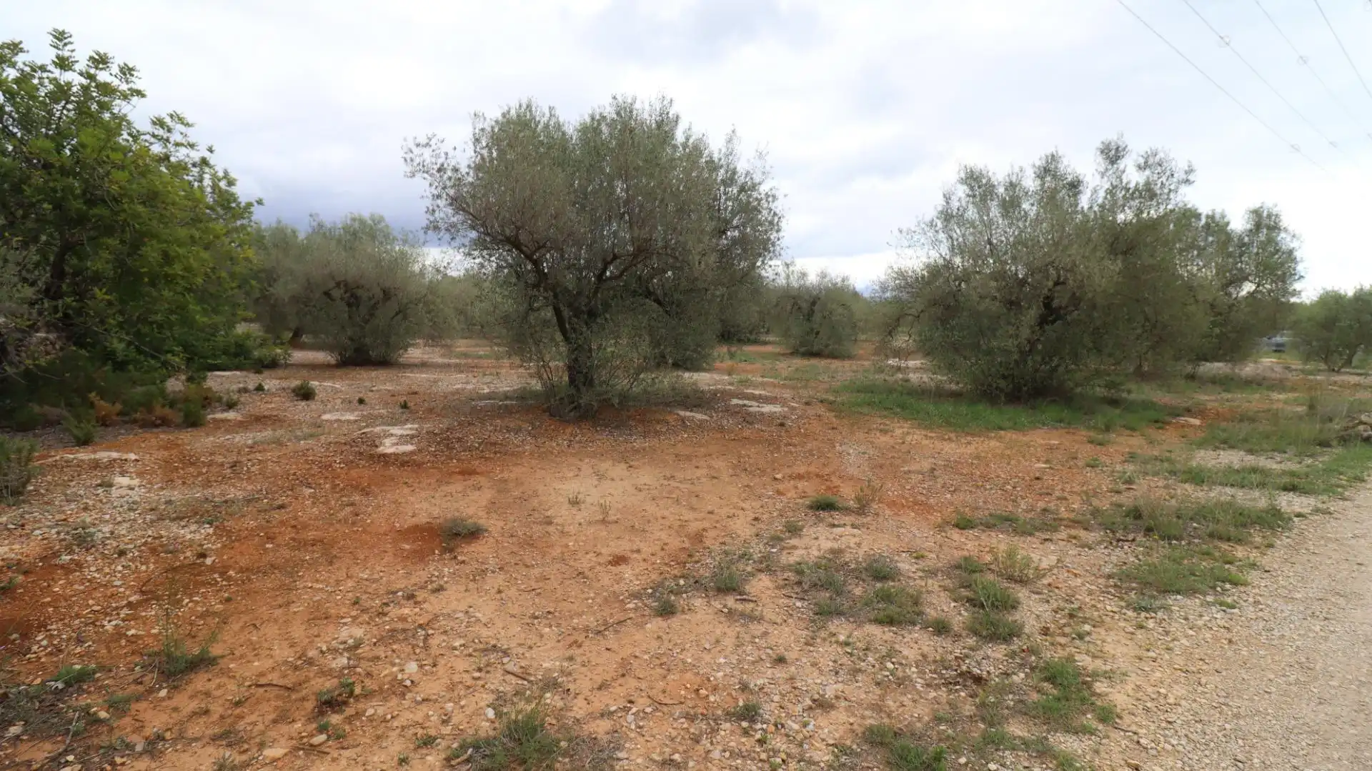 Terreny rústic en venda a Ulldecona, imagen 6