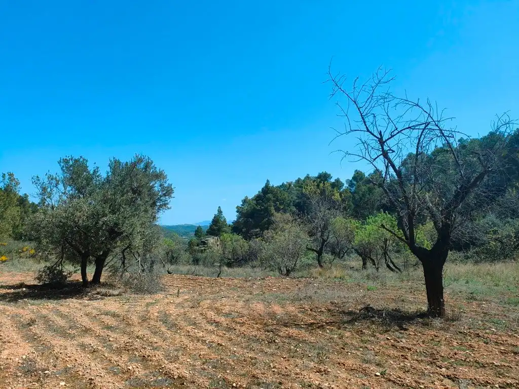 Terreni e lotti in vendita a Ráfales, imagen 9
