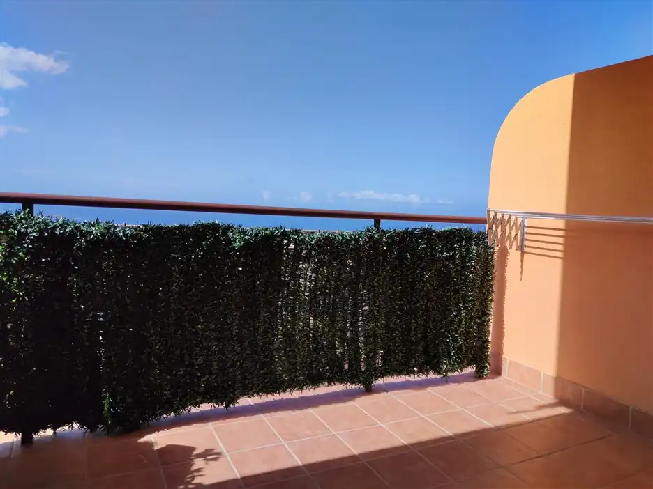 Terraza de Apartamento en venta en Adeje con Amueblado, Horno y Lavadora