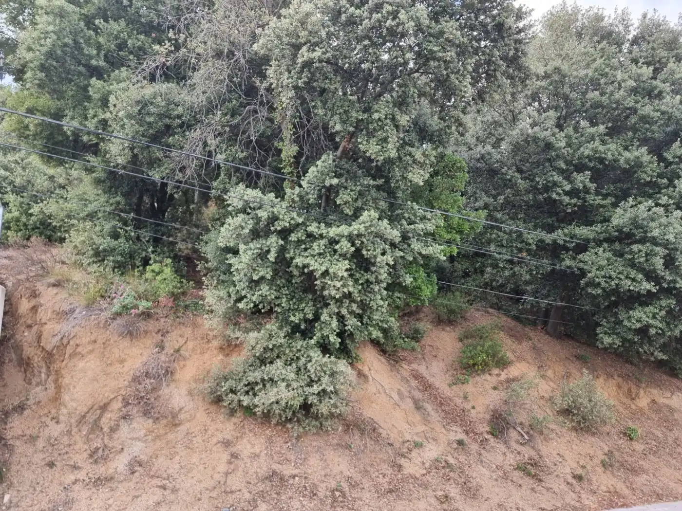 Lands and plots for sale in Calle MARGALLO, imagen 5