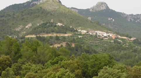 Photo 3 of Land for sale in Villaverde de Guadalimar, Albacete