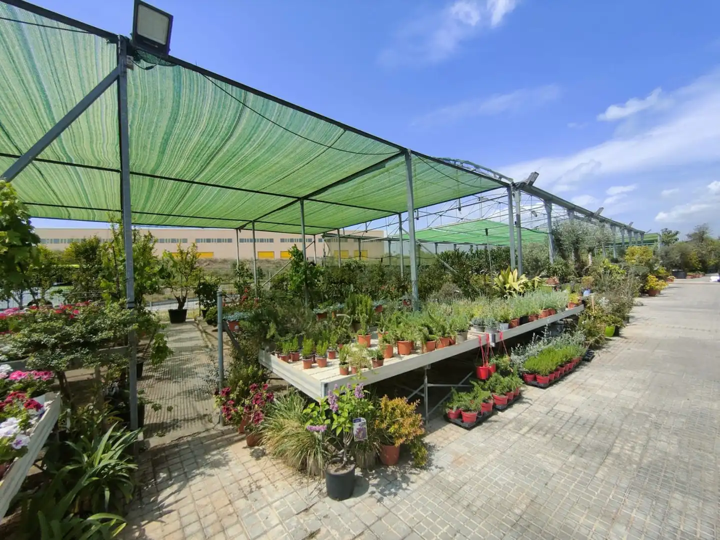 Terraza de Residencial en venta en Esparreguera