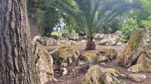 Foto 5 de Casa o chalet de alquiler en N/a, -1, Voto, Cantabria