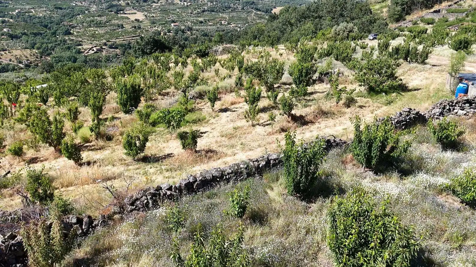 Terreni e lotti in vendita a Urbanizacion el Pajarejo, imagen 16