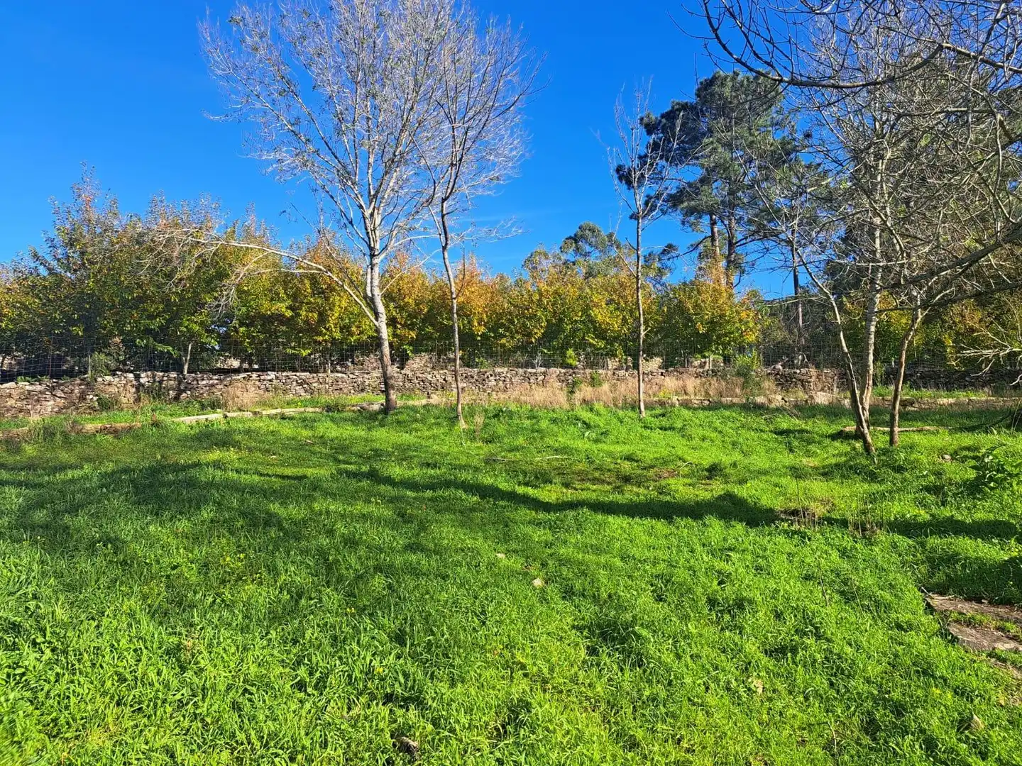 Residencial en venta en Rianxo