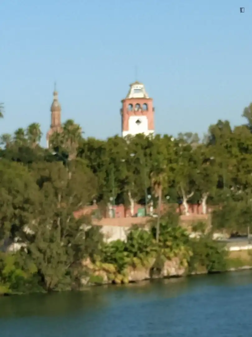 Exterior view of Study for rent in Sevilla  with Air Conditioner, Heating and Furnished