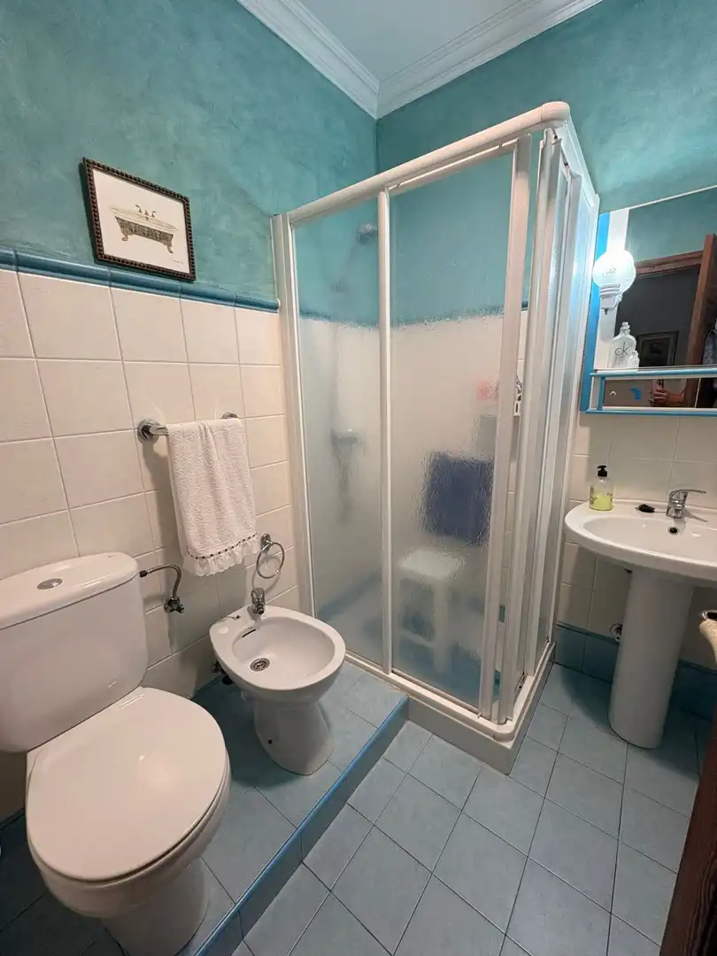 Bany de Casa o xalet en venda en Manzanares amb Aire condicionat, Calefacció i Terrassa